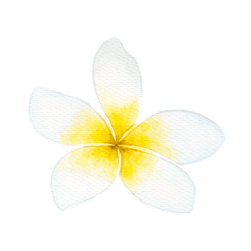 Bunga Jepun Bali