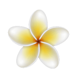 Bunga Jepun Bali